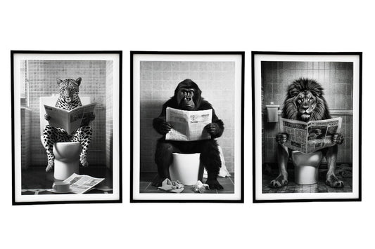 Set of 3 Animal's on the Toilet Framed Canvas 45x60cm